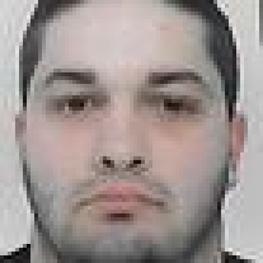 Wilfried Haye